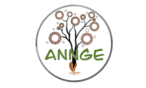 Annge Consulting logo.